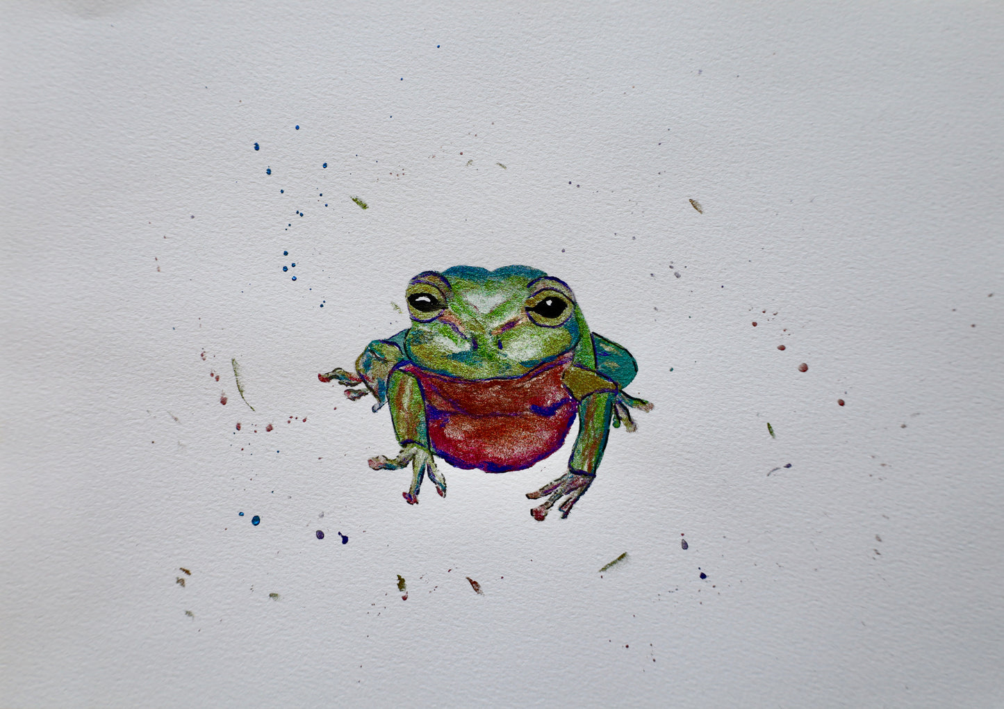 Original Watercolour - Flashy Frog